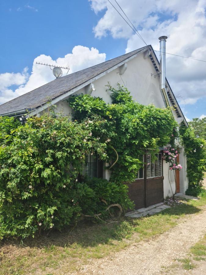"Gite Les Glycines" Linge Inclus Proche Centre-Ville Blois Exteriér fotografie